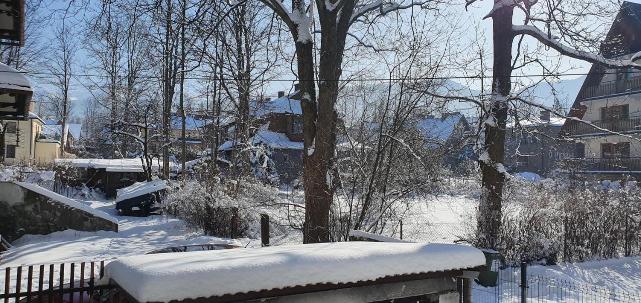 Vip Apartamenty Tytus Zakopane Exterior photo